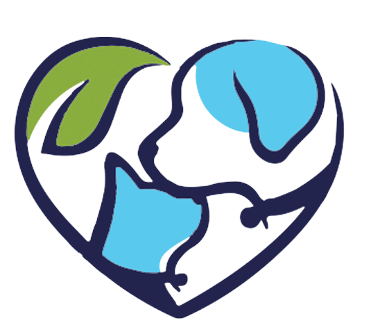 veterinaire-jnanecalifornie.com